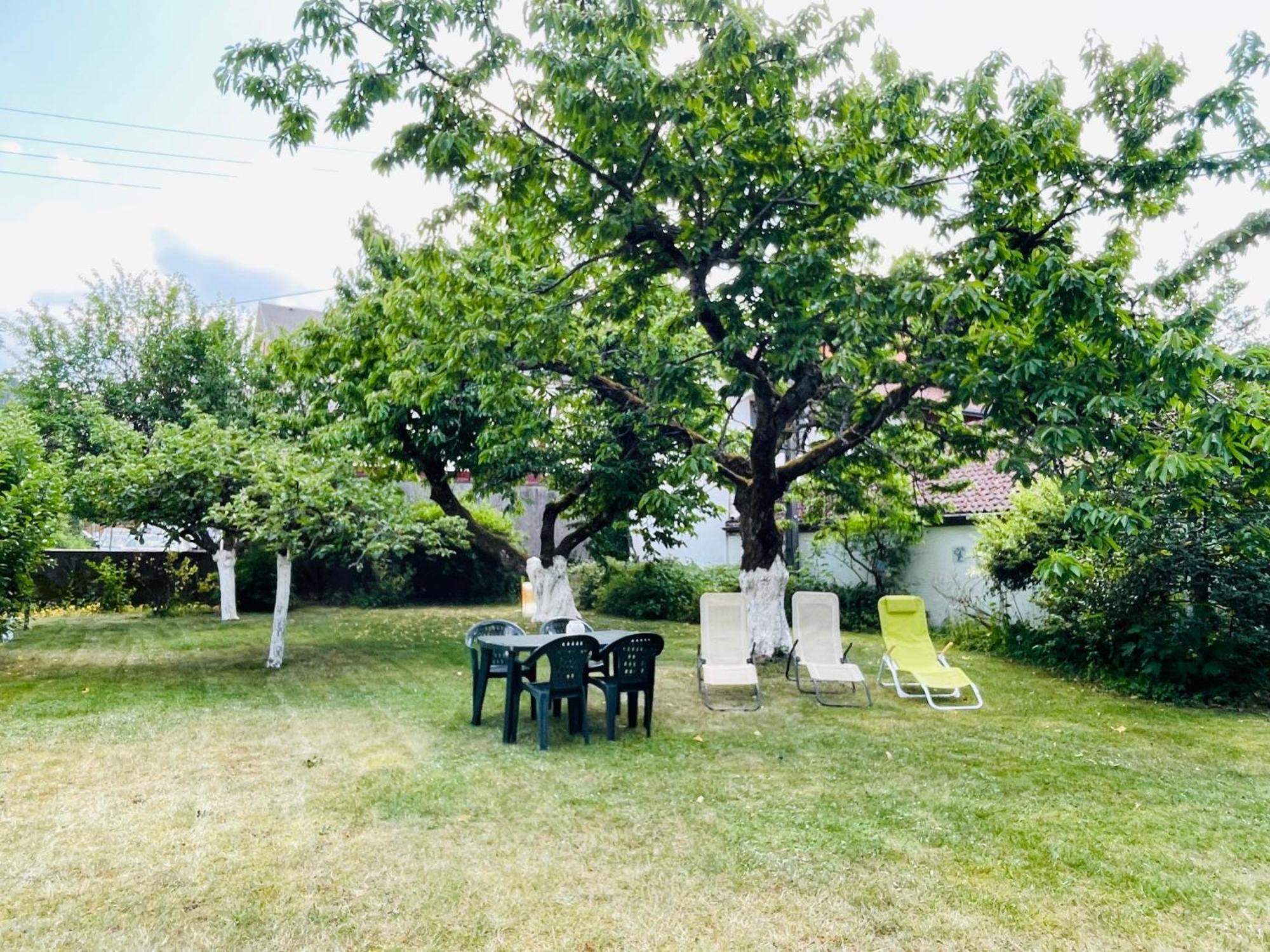 L'Ecureuil Διαμέρισμα Gérardmer Εξωτερικό φωτογραφία